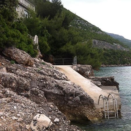 Apartments Frog Creek Slano Εξωτερικό φωτογραφία
